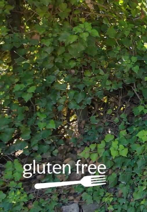 	Gluten Free	